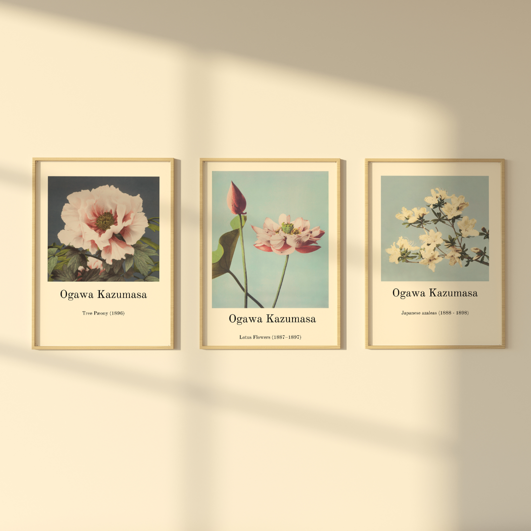 Japanische Blumen Poster 3 Poster 50x70cm