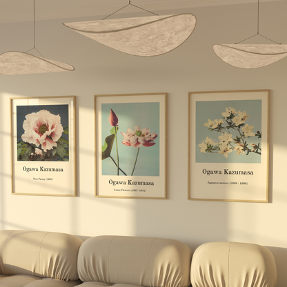 Japanese Flowers Posters 3 Posters 50x70cm