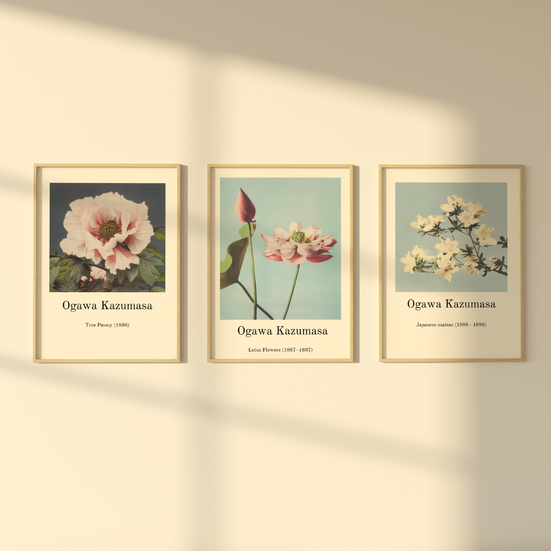 Japanese Flowers Posters 3 Posters 50x70cm